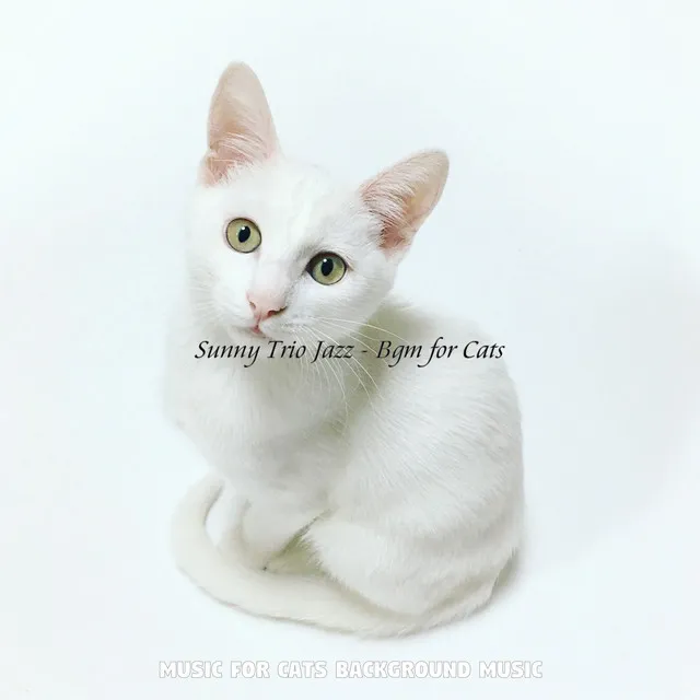 Sunny Trio Jazz - Bgm for Cats