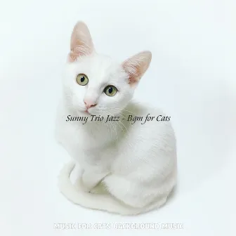 Sunny Trio Jazz - Bgm for Cats by Music for Cats Background Music