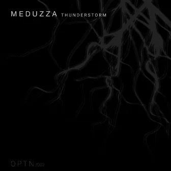 Thunderstorm by Meduzza