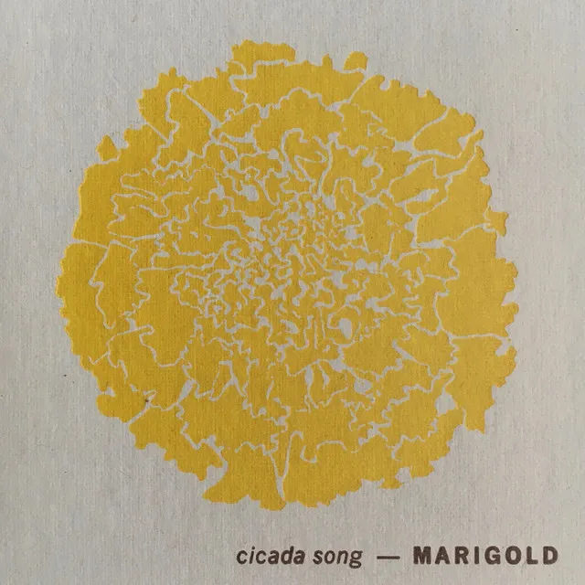 Marigold