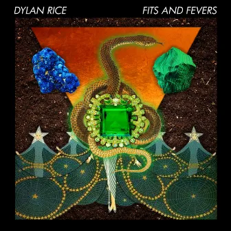 Fits and Fevers by Dylan Rice