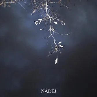 Nadej by Samey