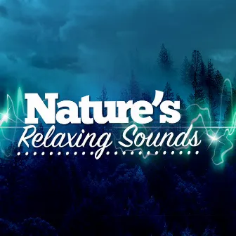 Nature's Relaxing Sounds by Unknown Artist