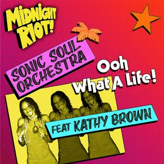 Ooh What a Life by Sonic Soul Orchestra