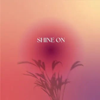 Shine On by Sinéad McCarthy