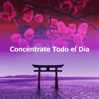 Concéntrate Todo el Día by Relajante Conjunto de Música Zen