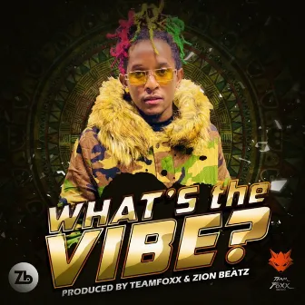 What's the Vibe? by Motto