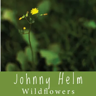 Wildflowers by Johnny Helm