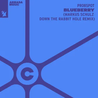 Blueberry (Markus Schulz Down The Rabbit Hole Remix) by Probspot