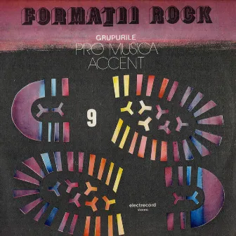 FORMATII ROCK by Pro Musica