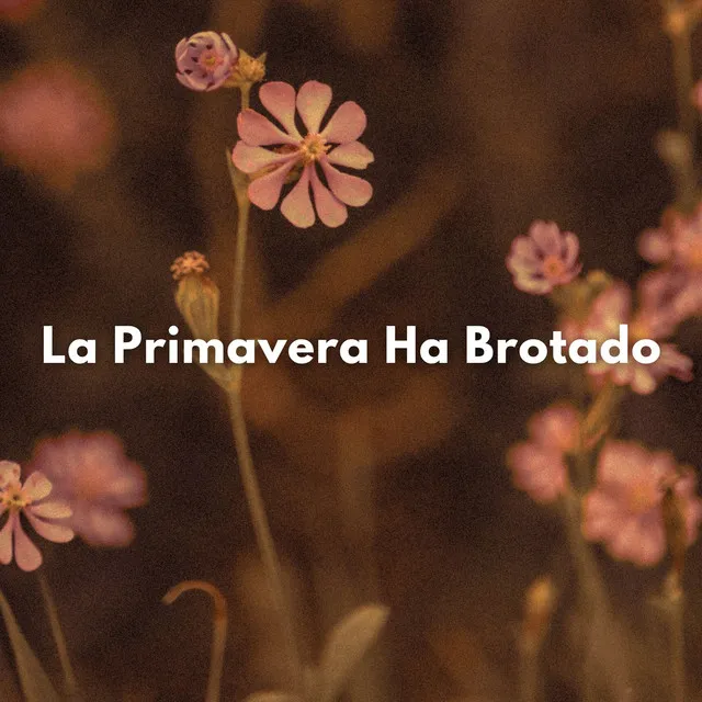 La Primavera Ha Brotado