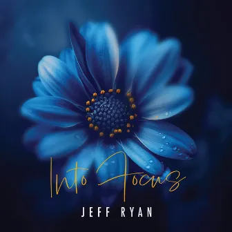 Into Focus by Jeff Ryan