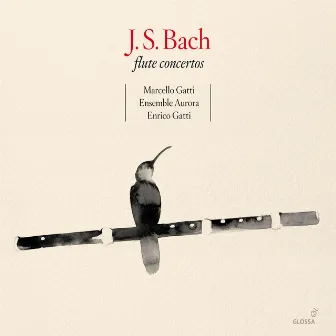 Bach, J.S.: Flute Concertos (M. Gatti, Ensemble Aurora by Marcello Gatti