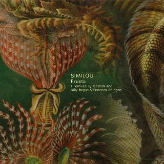 Frusta EP by Similou