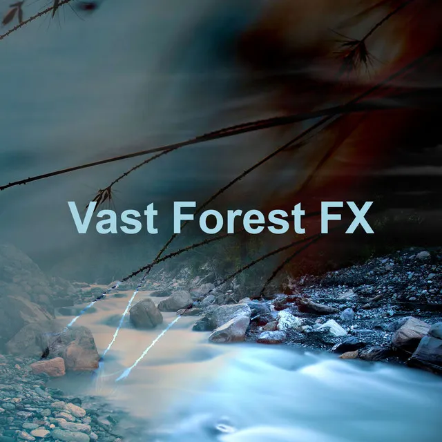 Vast Forest FX