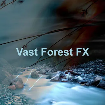 Vast Forest FX by Rainforest Spa Music