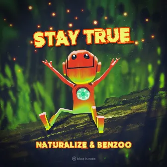 Stay True by Benzoo