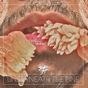 Underneath The Pine by Toro y Moi