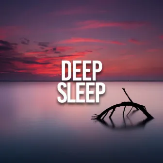 Deep Sleep by Hypnosis Therapy