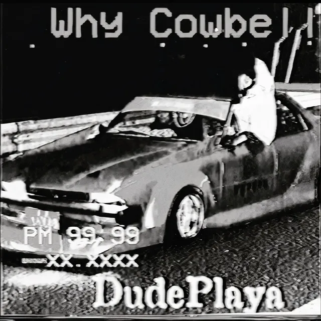 Why Cowbell - Slowed