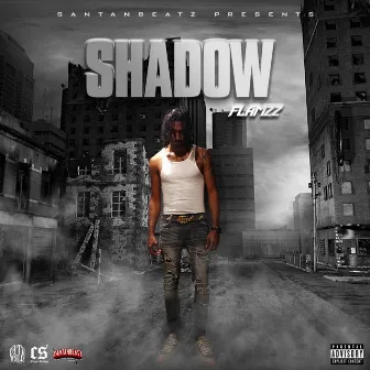 Shadow by Flamzz