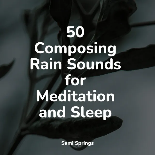 50 Composing Rain Sounds for Meditation and Sleep