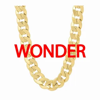 Wonder by Mega Ego