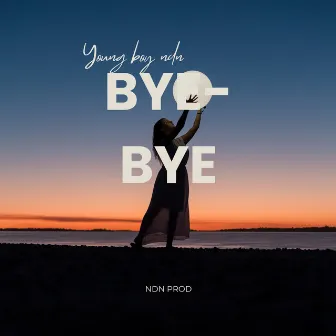 Bye Bye by Young Boy Ndn