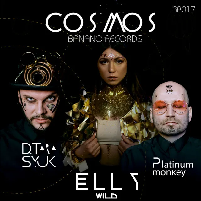 Cosmos - D.Tarasyuk, Platinum Monkey Radio Mix