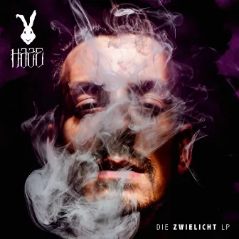 Die Zwielicht LP by Haze