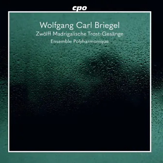 Briegel: Zwölff madrigalische Trost-Gesänge & Fugen durch die 8 Kirchentöne by Wolfgang Carl Briegel