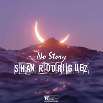 No Story by Shan Rodriguez