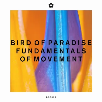 Fundamentals of Movement by Bird of Paradise