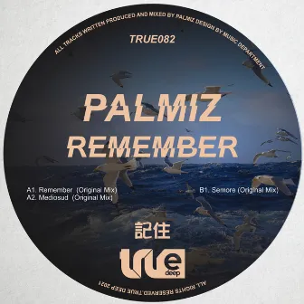 Remember by Palmiz