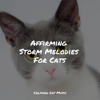 Affirming Storm Melodies For Cats by Music for Cats Project