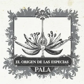 El origen de las especias, Vol. 2 by Pala