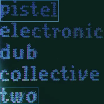 Electronic Dub Collective 2 by Mark Pistel