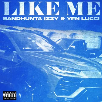 Like Me by Bandhunta Izzy