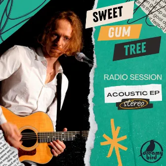 Acoustic Radio Session by Sweet Gum Tree