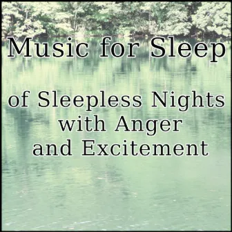 Music for the Sleep of Sleepless Nights with Anger and Excitement by Sleep Music Laboratory