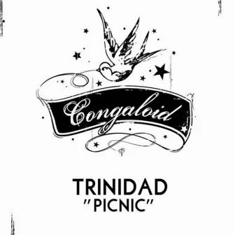 Picnic (Original Mix) by Trinidad