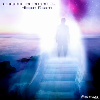 Hidden Realm by Logical Elements