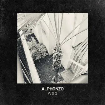 WSG (Analog Jazz Version) by 