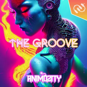 The Groove by Animosity