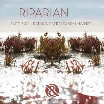 Riparian by Saite Zwei