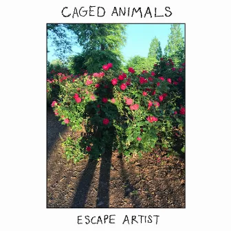 Escape Artist by Caged Animals