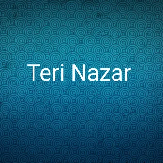 Teri Nazar by Manisha Gupta