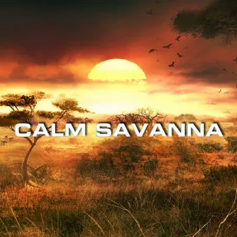 Calm Savanna by Discovery Plus