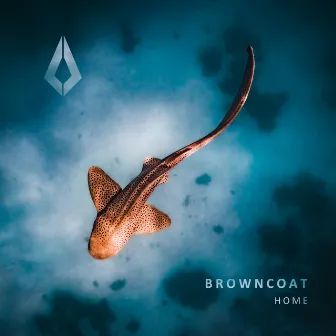 Home by Browncoat