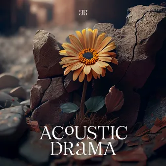 Acoustic Drama by Matthias Meusel